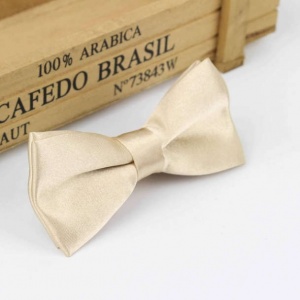 Boys Champagne Satin Bow Tie with Adjustable Strap